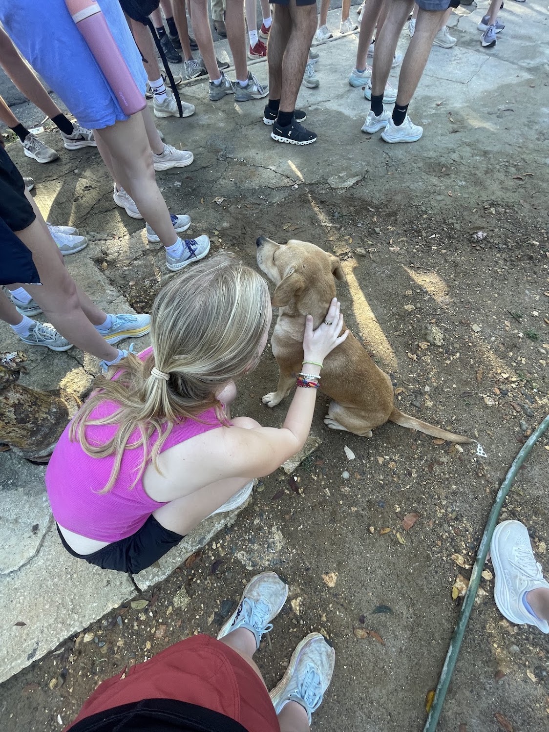 Students greeting a neighborhood dog during the mission trip